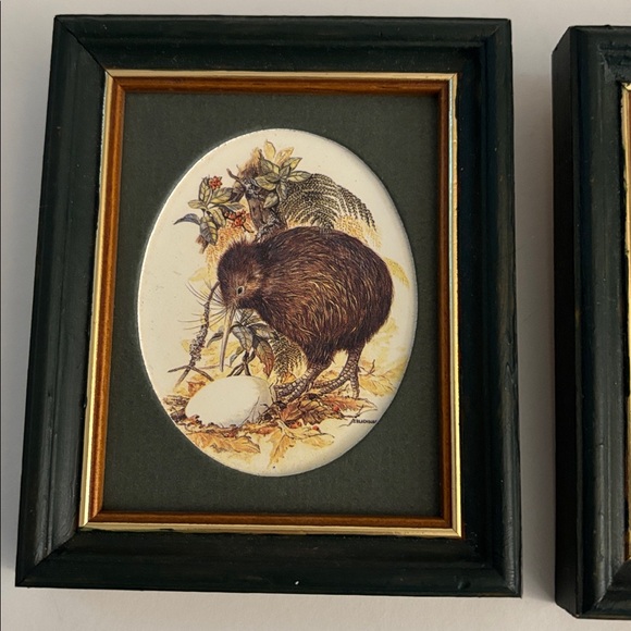 Set of Two Framed Native Birds of New Zealand - Picture 3 of 7